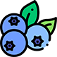Jetaaseeds