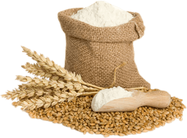 Jetaaseeds