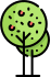 Jetaaseeds