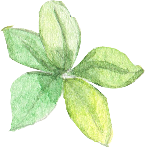 Jetaaseeds