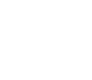 Jetaaseeds