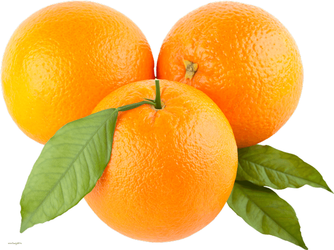 Jetaaseeds