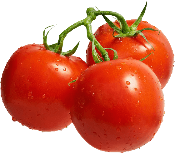 Jetaaseeds